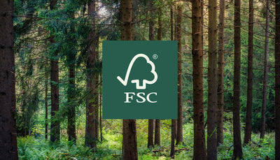 Choosing Sustainability: Why You Should Buy Wood from FSC Approved Sources